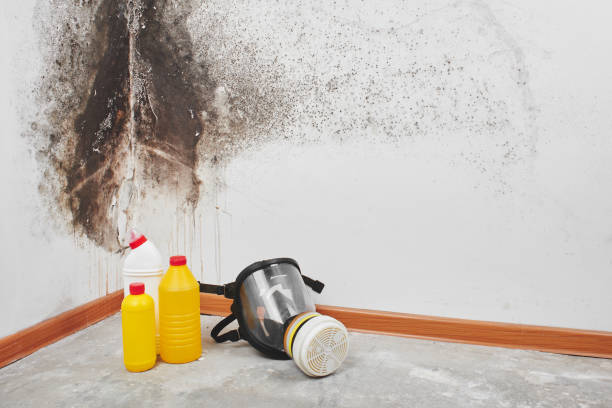 Best Preventive Mold Services in Crawford, GA