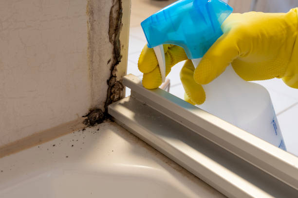 Best Residential Mold Remediation in Crawford, GA